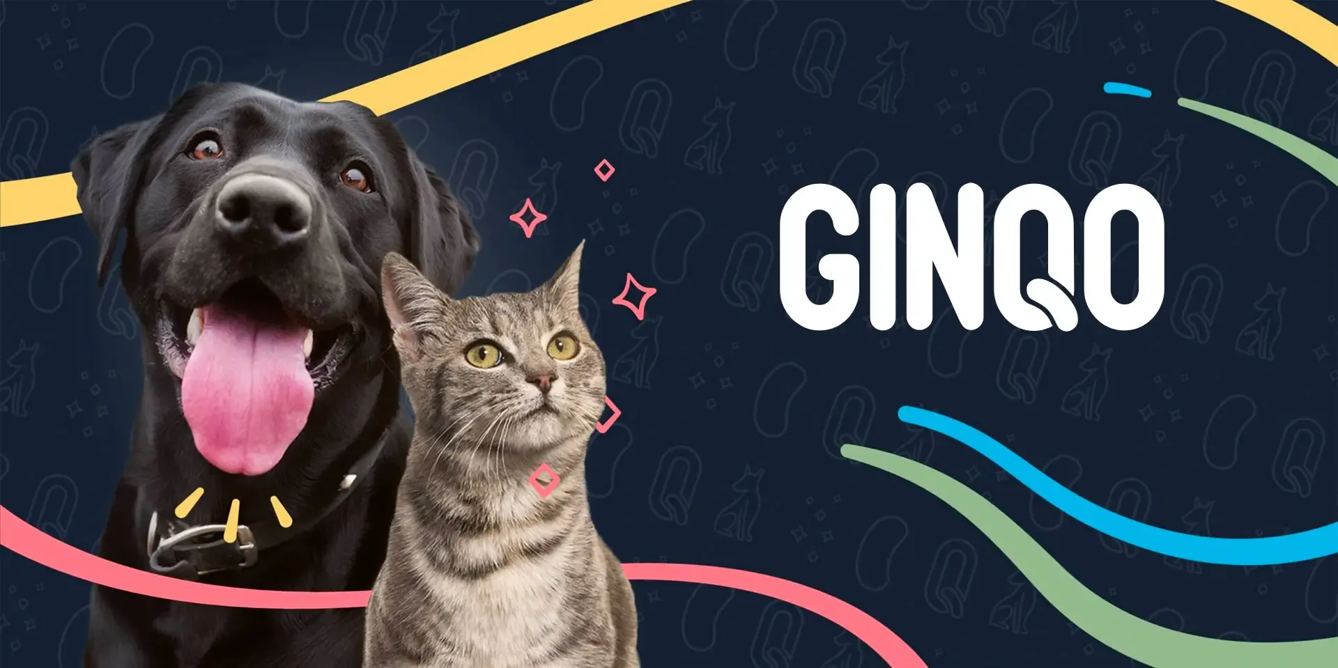 Sitio web de Ginqo Pet Food