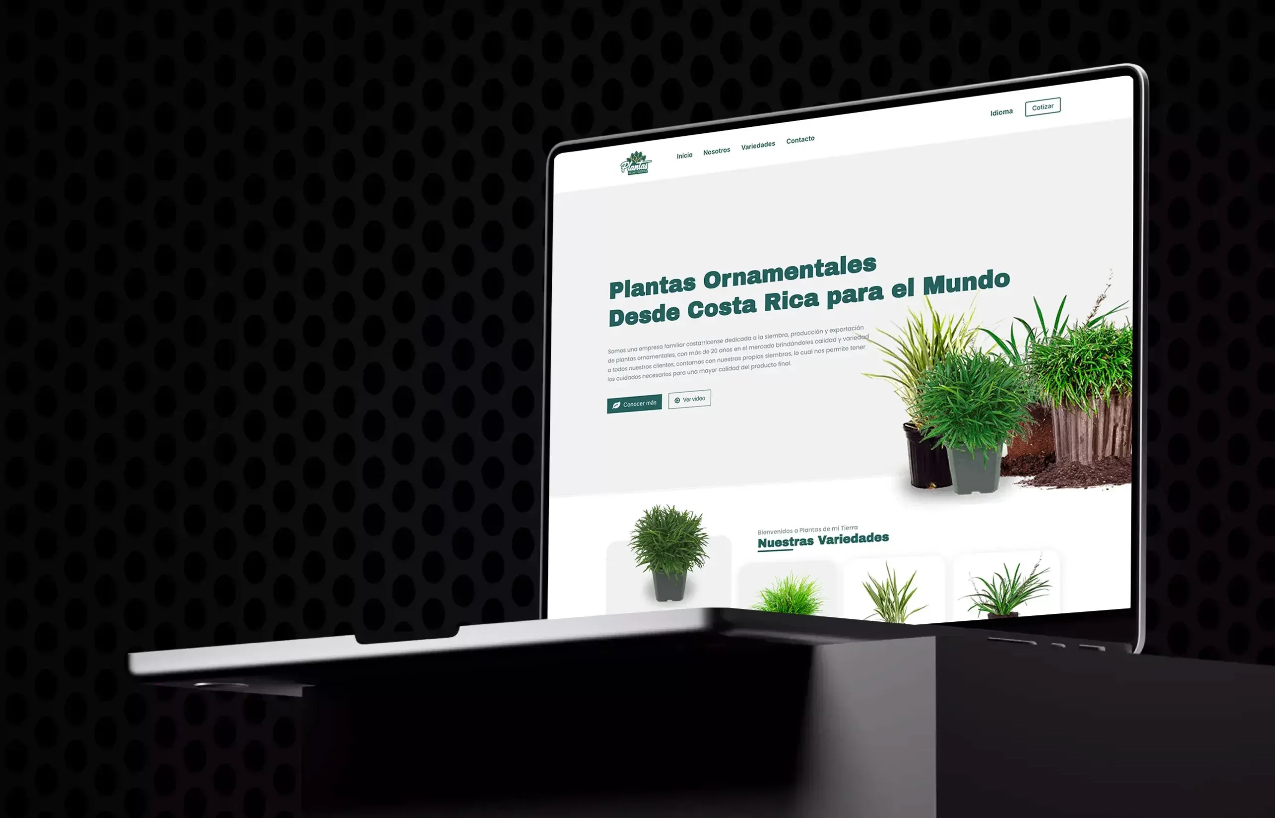Plantas de mi Tierra – captura 1