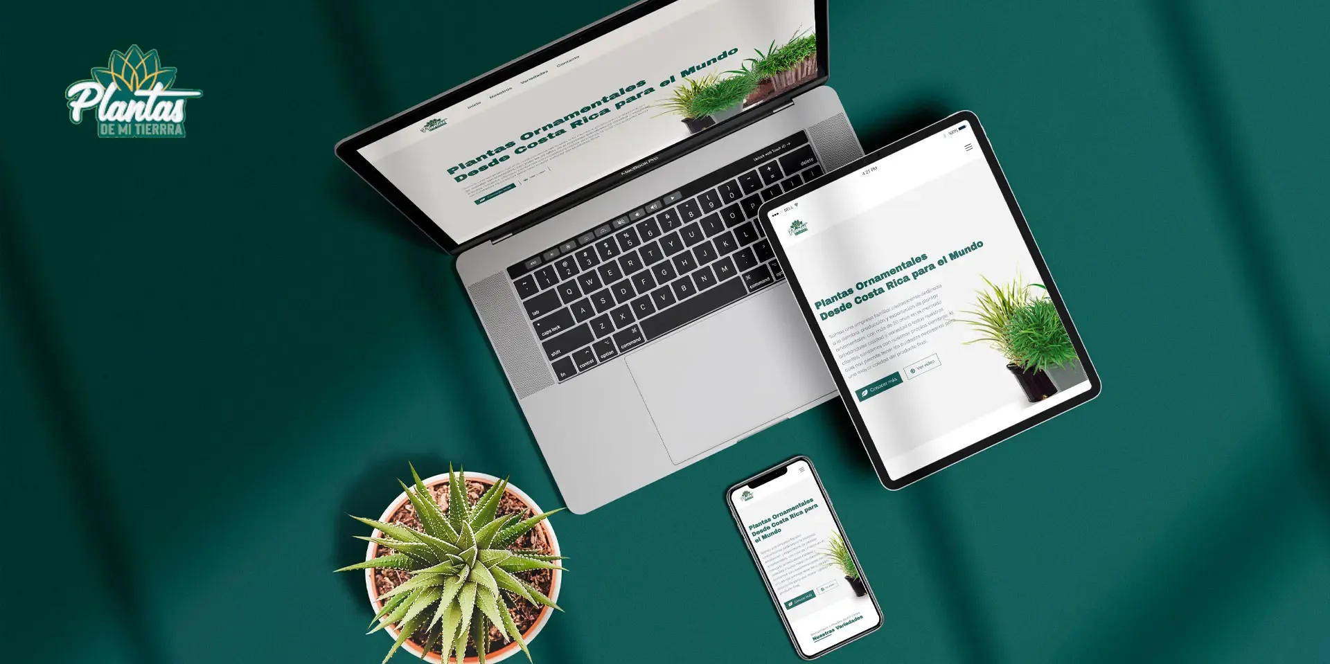 Sitio web de Plantas de mi Tierra