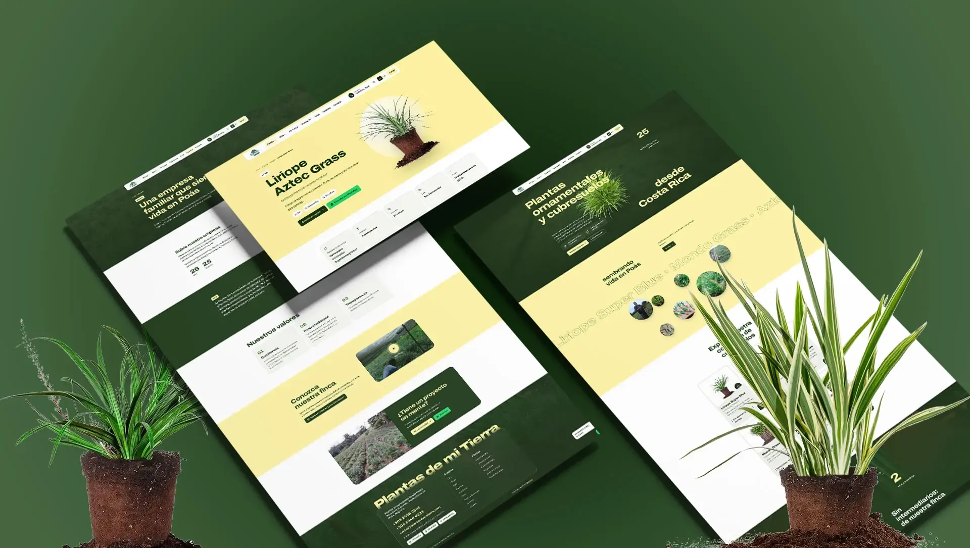 Sitio web de Plantas de mi Tierra